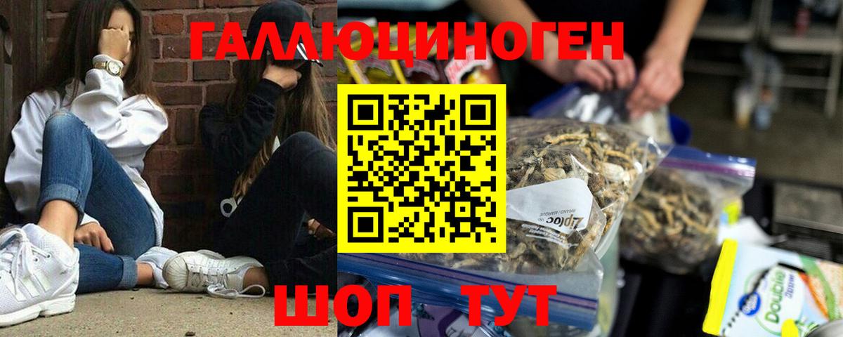 Псилоцибиновые грибы Psilocybine cubensis Городец