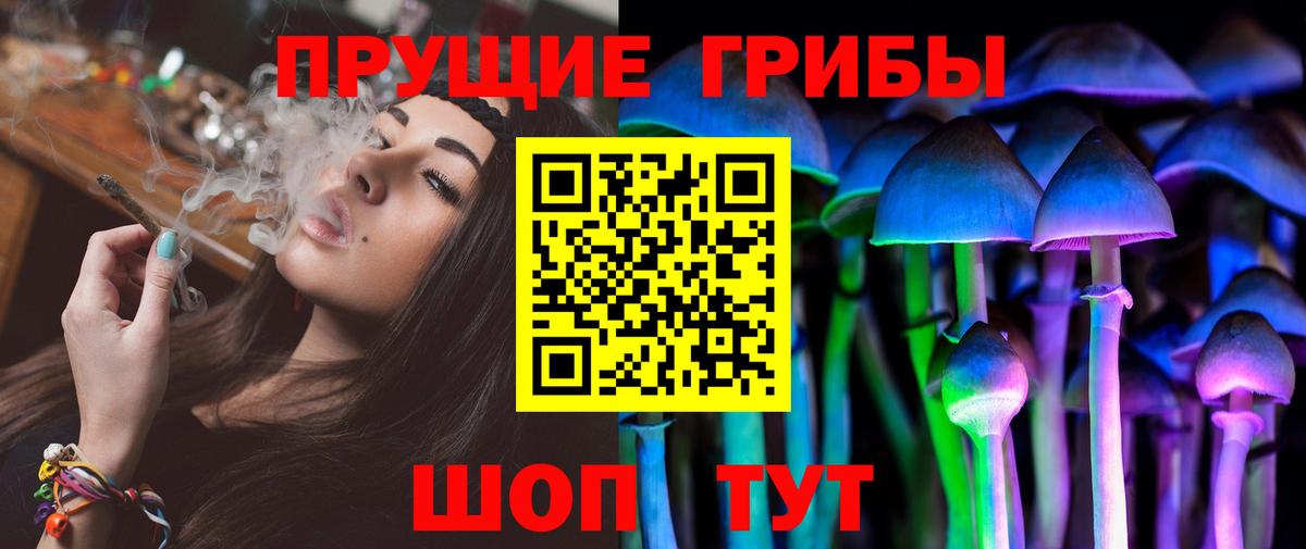 Псилоцибиновые грибы Cubensis  Вход с VPN  цены   Псилоцибиновые грибы мухоморы  Городец 
